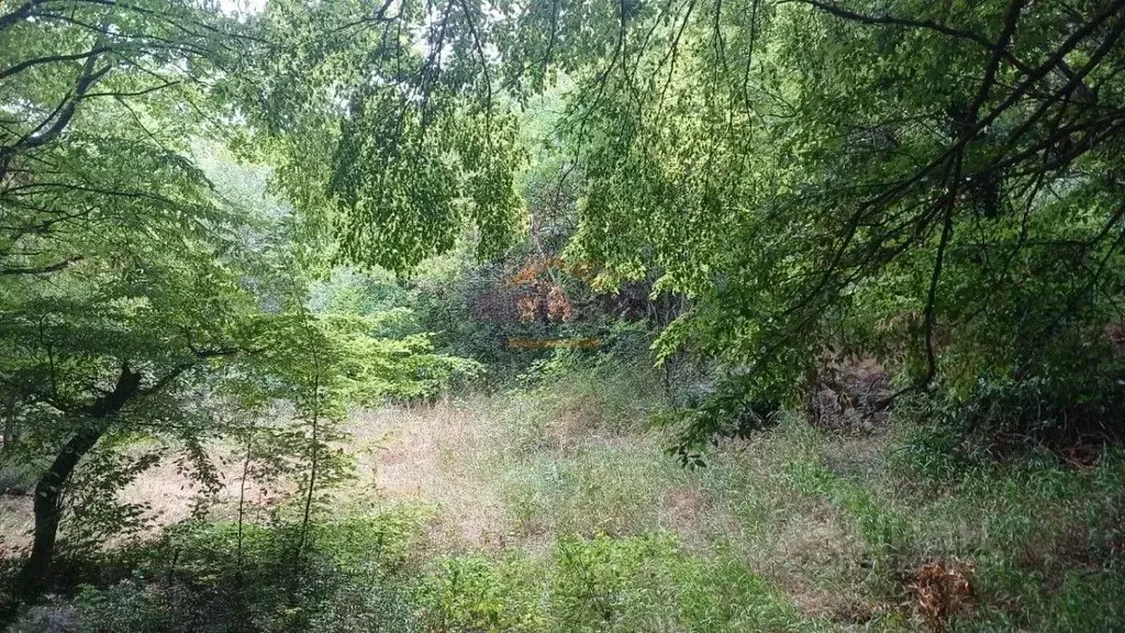 Участок в Крым, Ялта муниципальный округ, Симеиз пгт  (5.7 сот.) - Фото 1