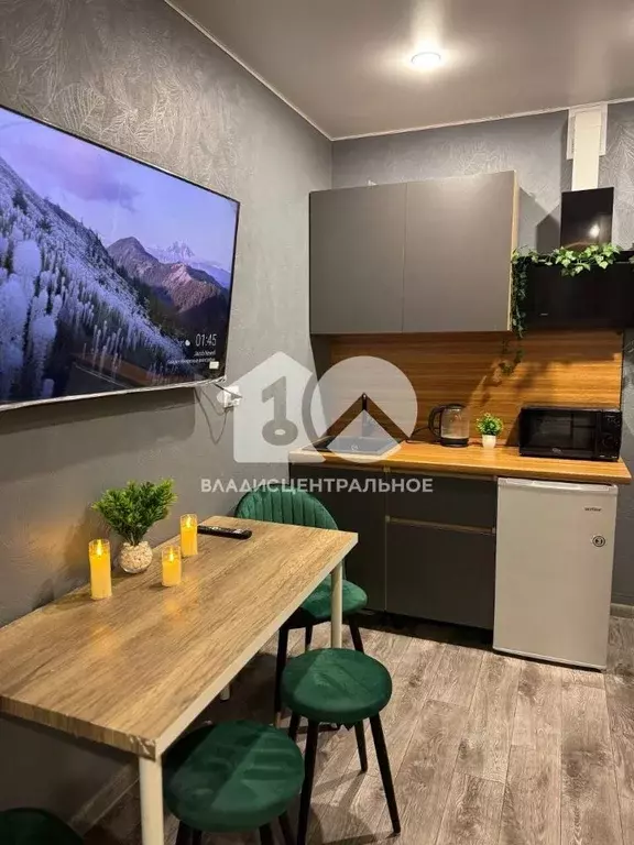 Студия Новосибирская область, Новосибирск ул. Забалуева, 96 (24.2 м) - Фото 2