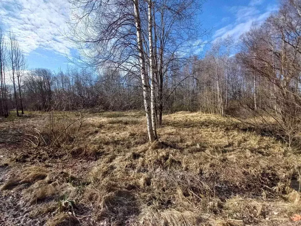 Участок в Ленинградская область, Приозерский район, Ларионовское ... - Фото 1