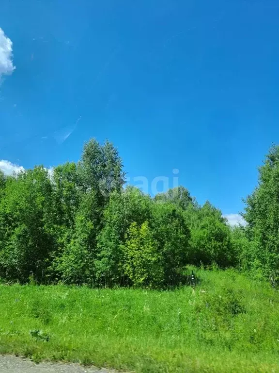 Участок в Свердловская область, Горноуральский городской округ, с. ... - Фото 0