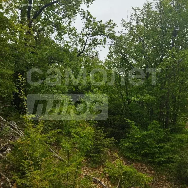 Участок в Севастополь, Балаклавский муниципальный округ, СТ Металлист, ... - Фото 1