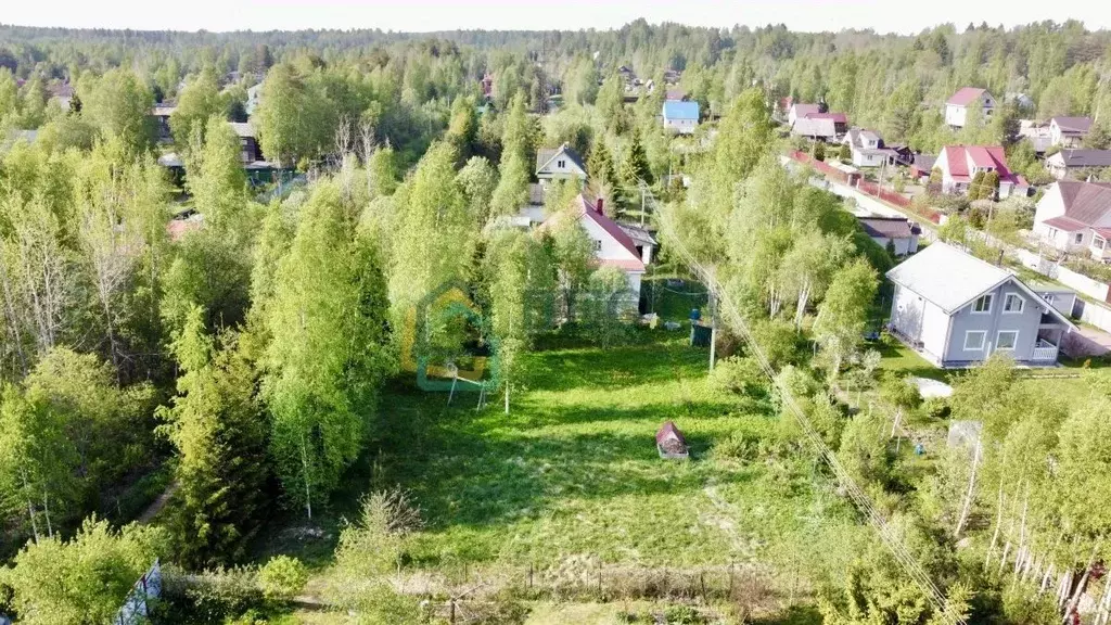Участок в Ленинградская область, Всеволожский район, Куйвозовское ... - Фото 1
