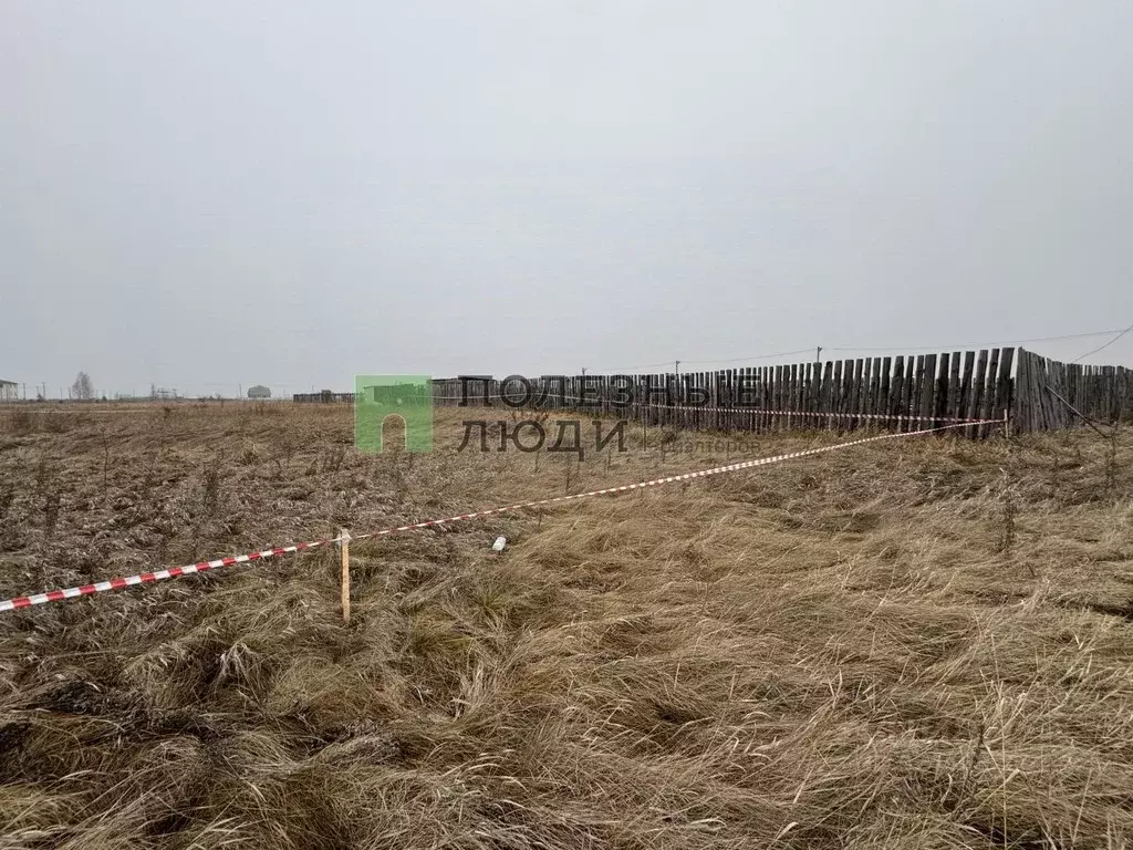 Участок в Курганская область, Курган с. Зайково, ул. Имени Ивана ... - Фото 2