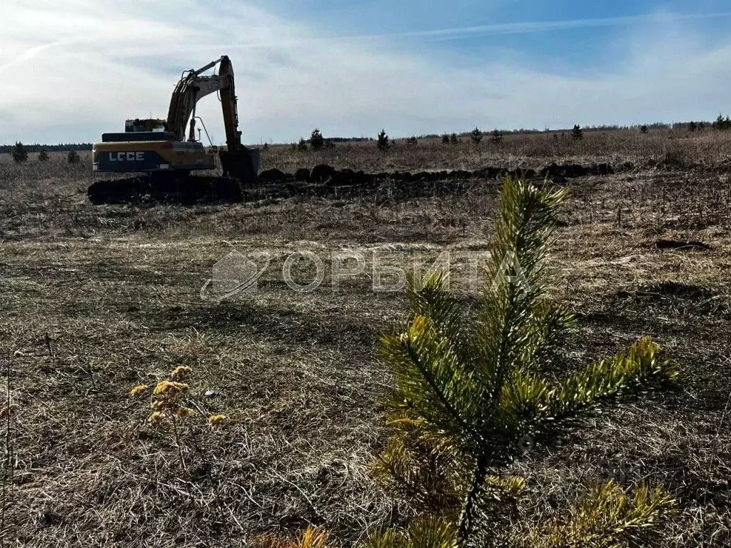 Участок в Тюменская область, Тюменский муниципальный округ, д. Елань, ... - Фото 2