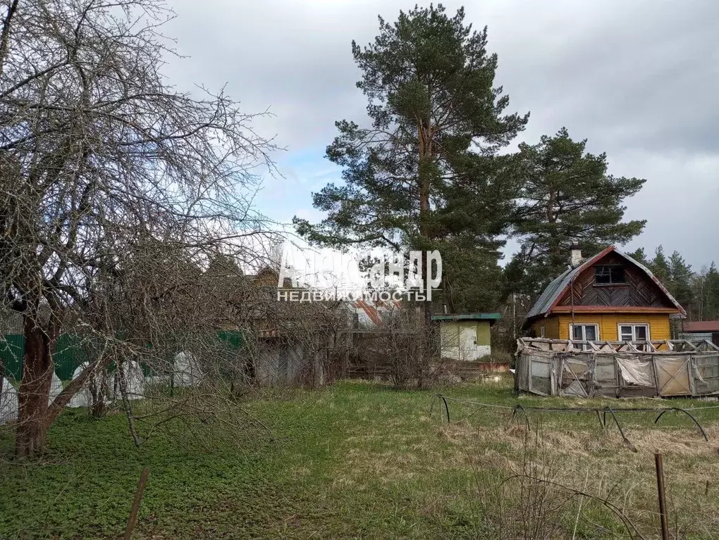 Участок в Ленинградская область, Всеволожский район, Колтушское ... - Фото 1