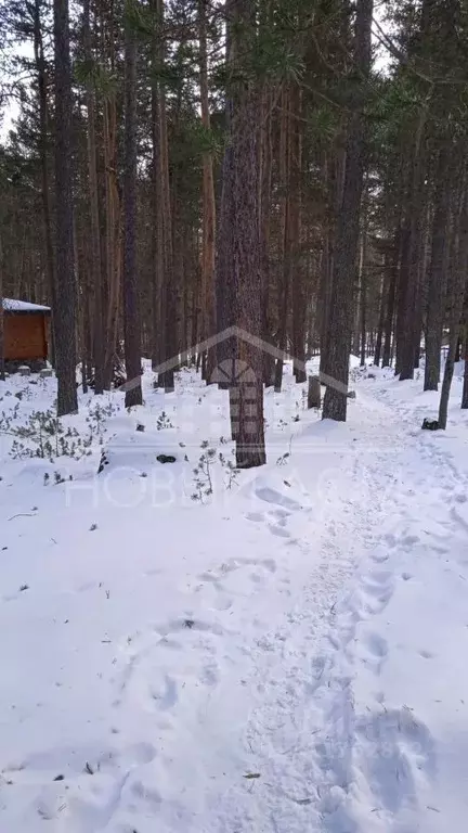 Участок в Кабардино-Балкария, Эльбрусский район, с. Терскол  (20.0 ... - Фото 1