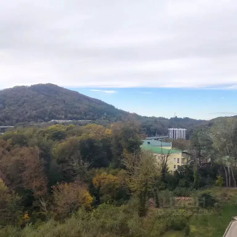 1-к кв. Краснодарский край, Сочи Мацестинская Долина мкр, ул. ... - Фото 2