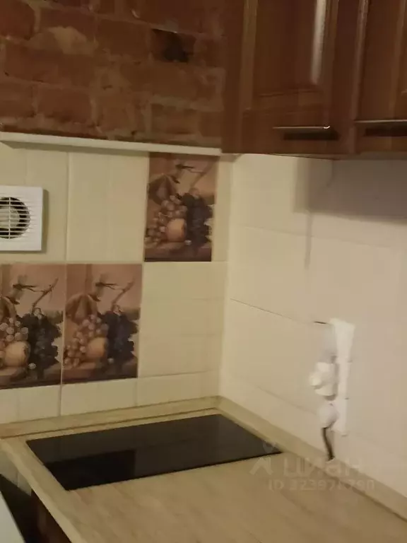 Студия Санкт-Петербург ул. Льва Толстого, 5 (28.0 м) - Фото 2