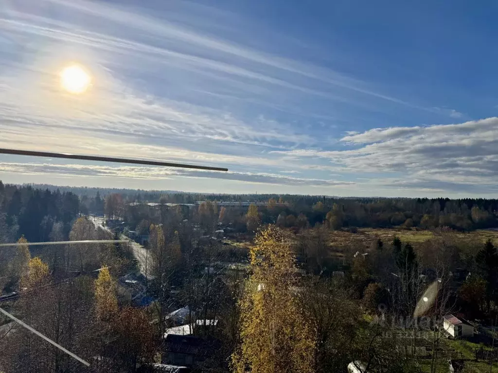 2-к кв. Ленинградская область, Всеволожский район, Куйвозовское с/пос, ... - Фото 1