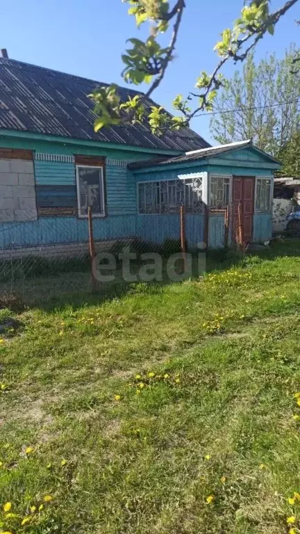 Дом в Брянская область, Суземка рп пер. Лермонтова (59 м) - Фото 1