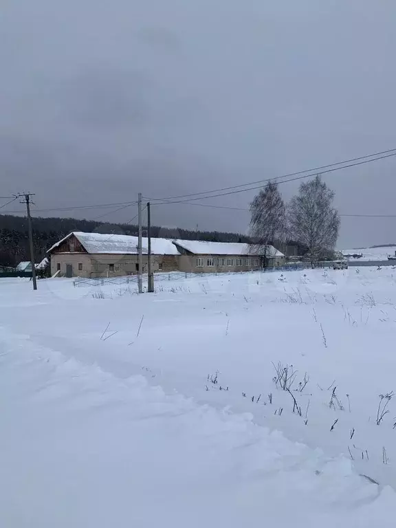 Участок 20 сот. (ИЖС) - Фото 1