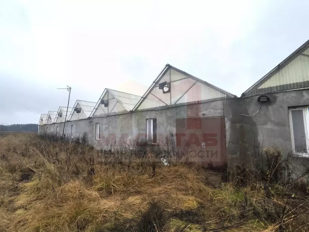 Участок в Ленинградская область, Выборг Крепостная ул. (1000.0 сот.) - Фото 1