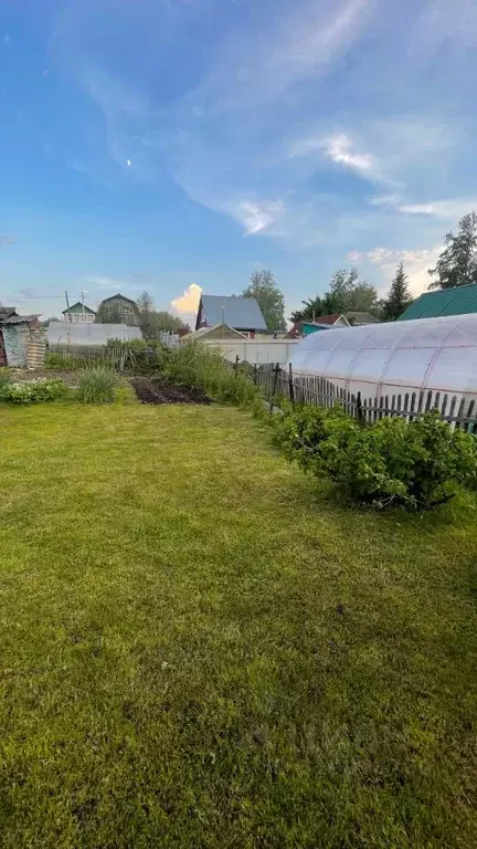 Дом в Новосибирская область, Новосибирск Кедр СНТ,  (30 м) - Фото 1
