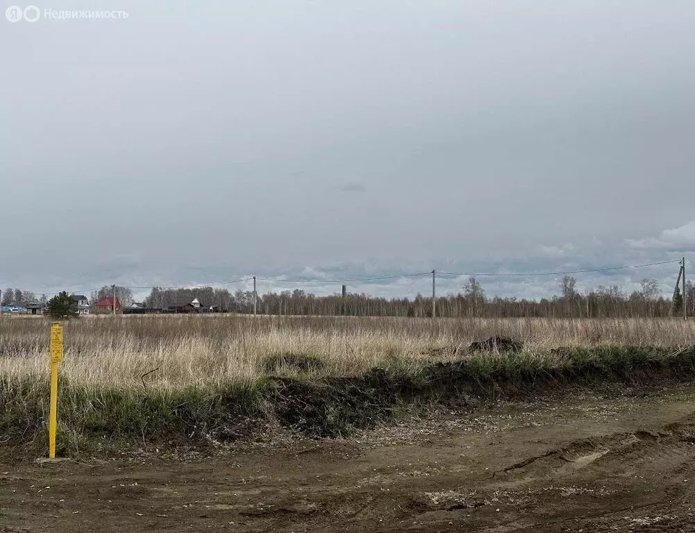 Участок в Фирсово, улица Максима Горького, 11 (10.65 м) - Фото 0