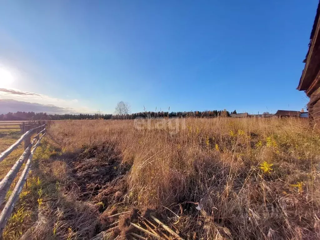 Участок в Свердловская область, Нижний Тагил городской округ, д. ... - Фото 1