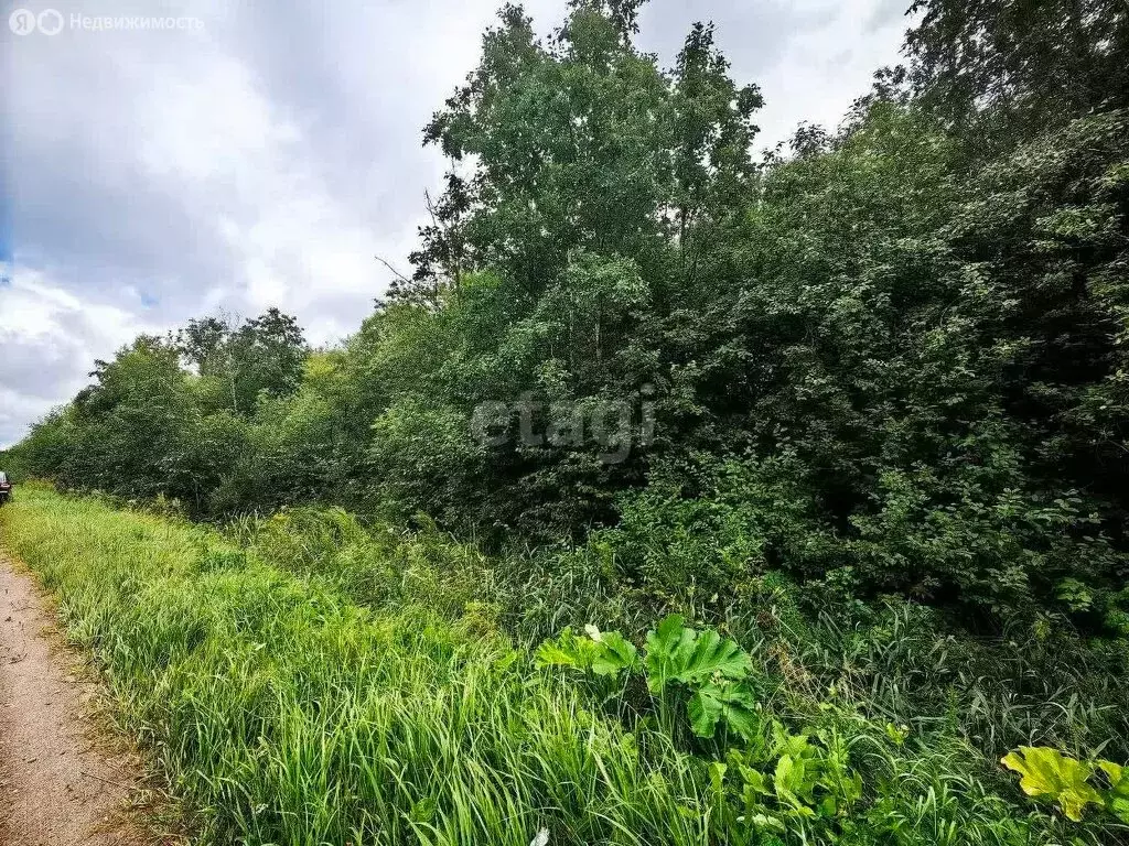 Участок в Волхов, Лесопарковая улица (11.7 м) - Фото 1