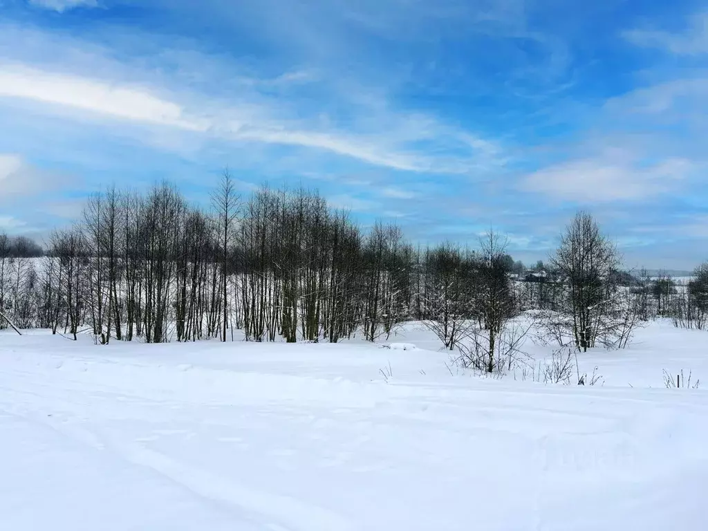Участок в Московская область, Дмитровский муниципальный округ, ... - Фото 2