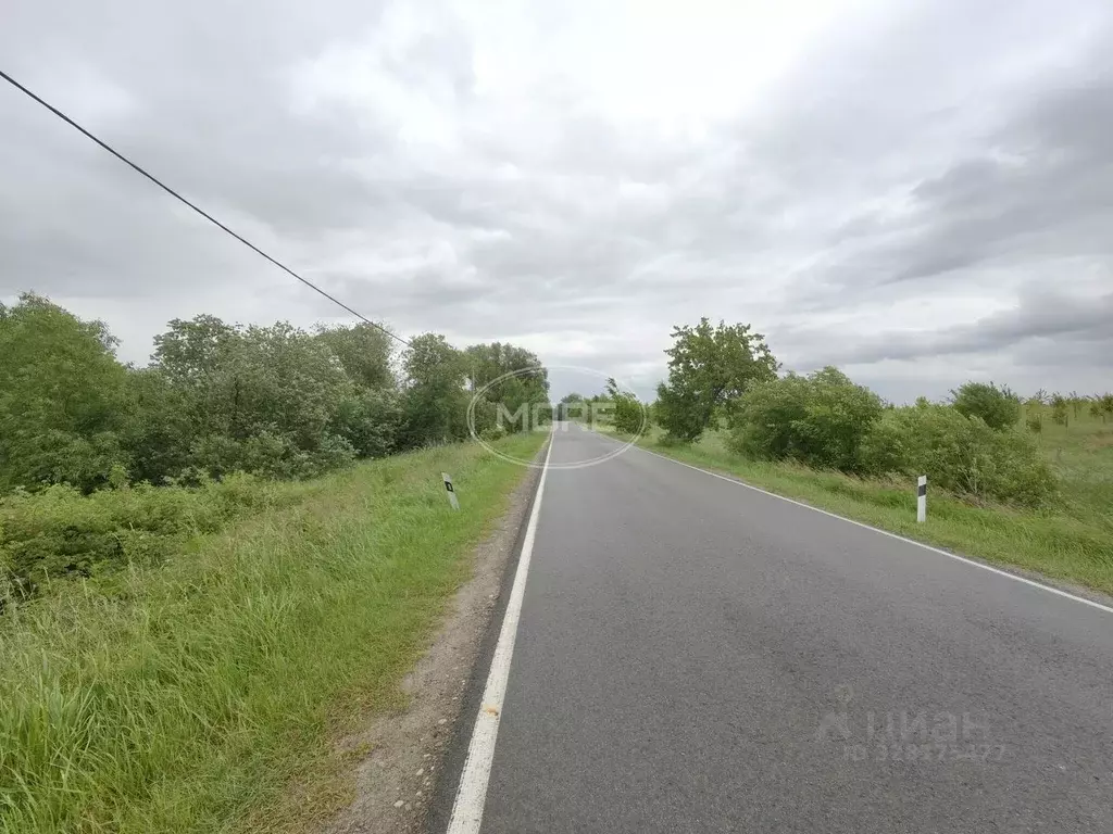 Участок в Калининградская область, Багратионовский муниципальный ... - Фото 1