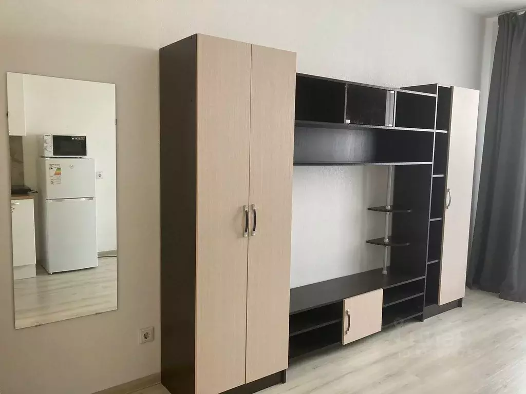 Студия Санкт-Петербург ул. Среднерогатская, 13к1 (27.0 м) - Фото 1