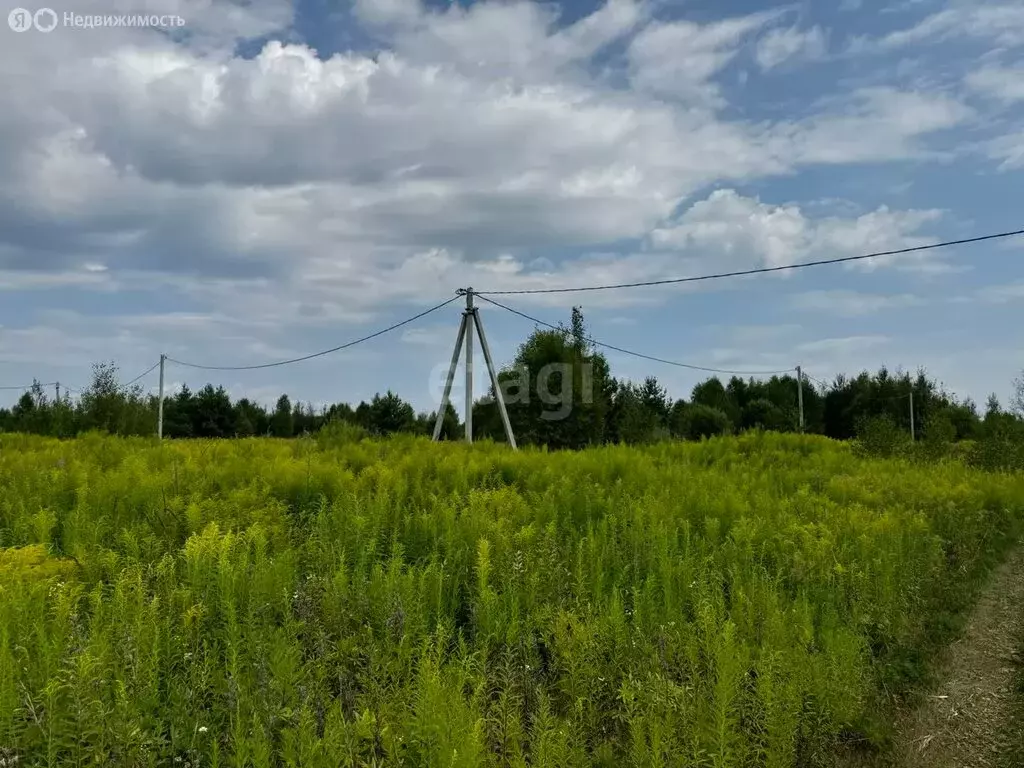 Участок в Нижегородская область, Балахнинский муниципальный округ, ... - Фото 0