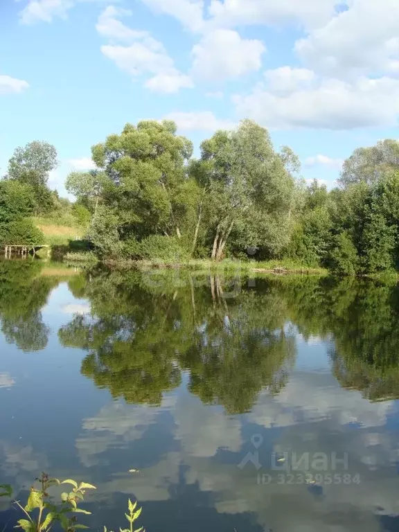 Дом в Калужская область, Сухиничский муниципальный округ, Богдановы ... - Фото 1