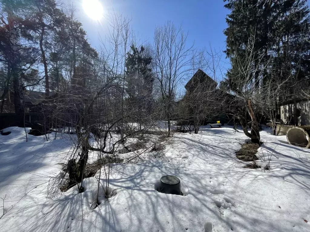Участок в Московская область, Пушкинский городской округ, Черкизово ... - Фото 1