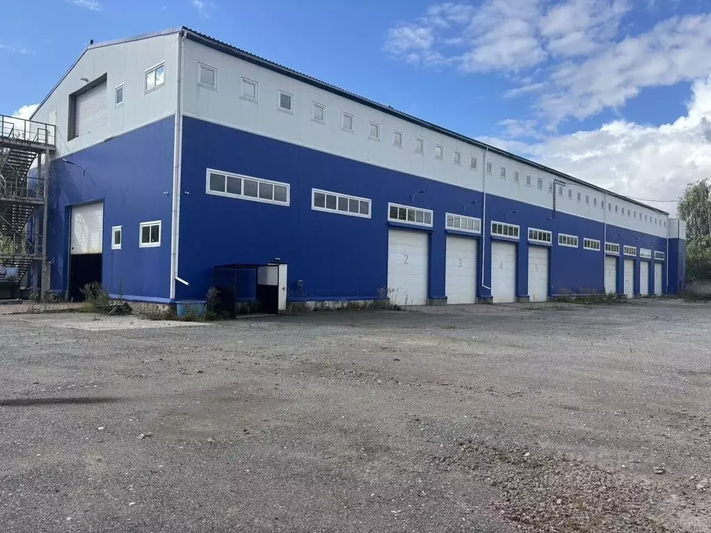 Производственное помещение в Ленинградская область, Ломоносовский ... - Фото 1