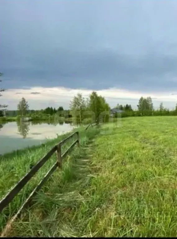 Участок в Калужская область, Медынский муниципальный округ, Брюхово ... - Фото 1