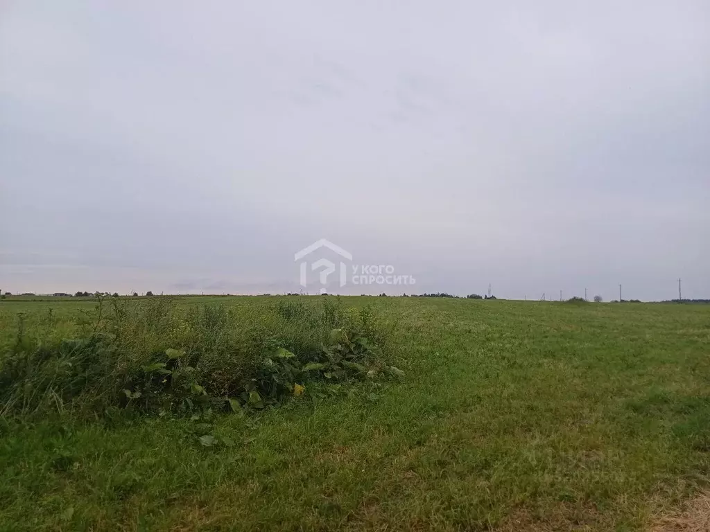 Участок в Ленинградская область, Ломоносовский район, Гостилицкое ... - Фото 1