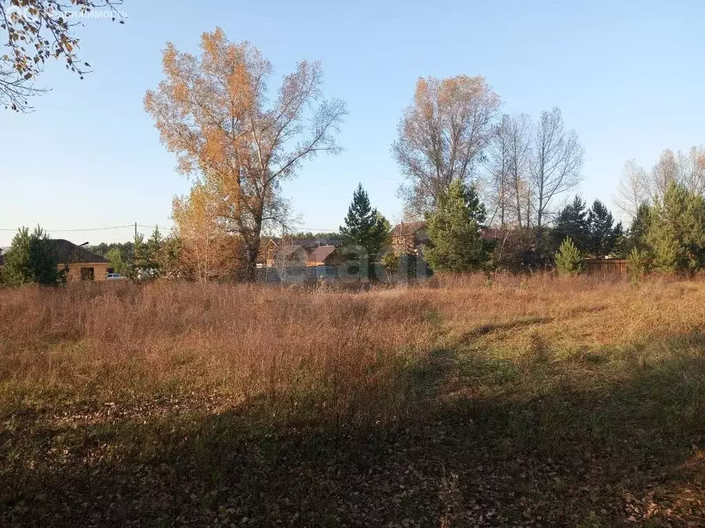 Участок в Красноярский край, Минусинский муниципальный округ, СТ ... - Фото 2