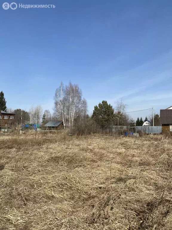 Участок в Новосибирская область, Коченёвский муниципальный район, СНТ ... - Фото 0
