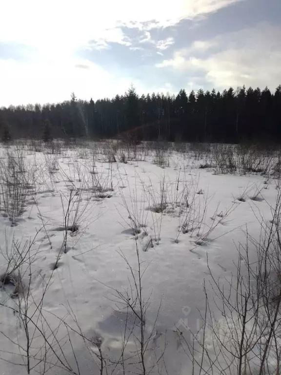 Купить Землю В Заволжском Районе