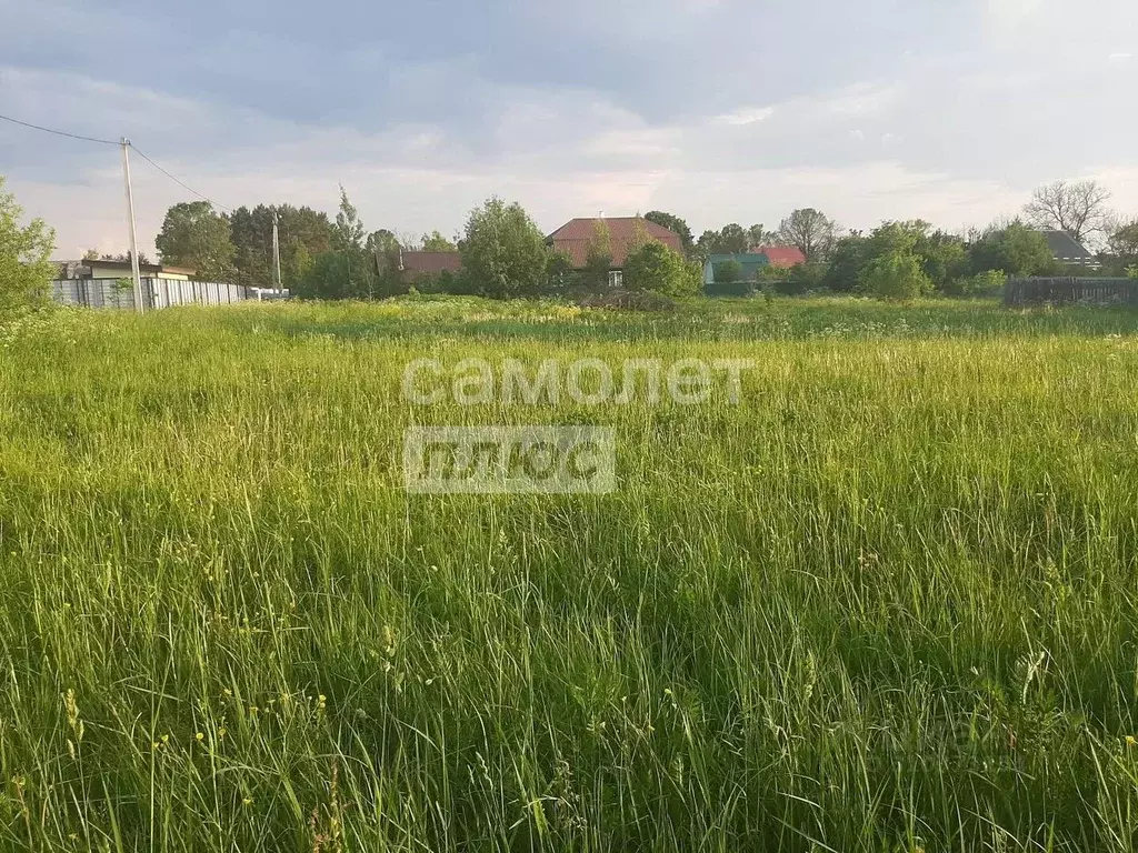 Участок в Владимирская область, Александровский район, Андреевское ... - Фото 0