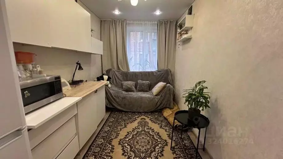 2-к кв. Татарстан, Зеленодольск Паратская ул., 24 (28.9 м) - Фото 1