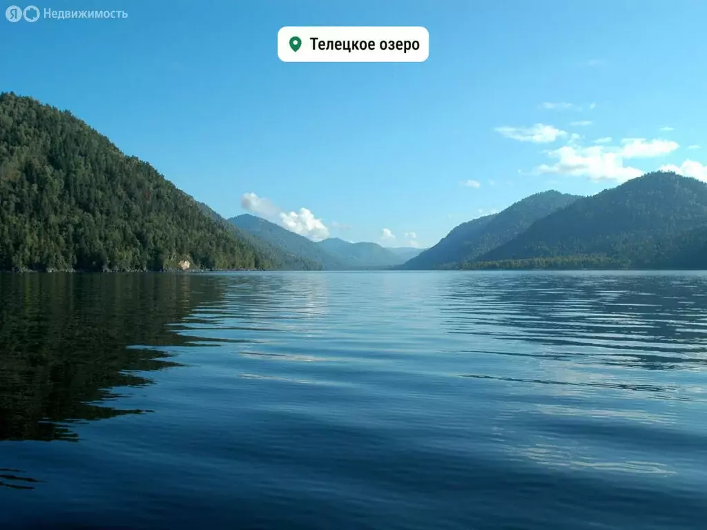 Торговая площадь (18.5 м) - Фото 2