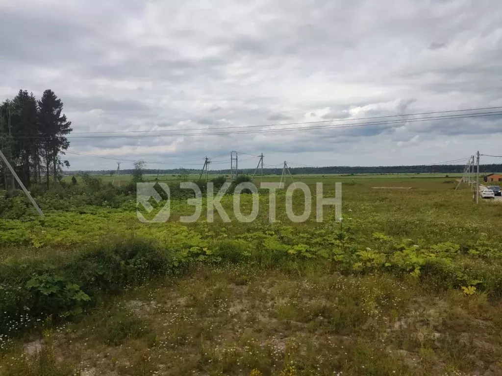 Участок в Ленинградская область, Ломоносовский район, д. Гостилицы  ... - Фото 1