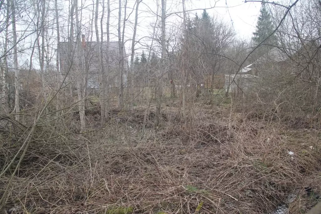 Участок в Московская область, Наро-Фоминский городской округ, Дубрава ... - Фото 1