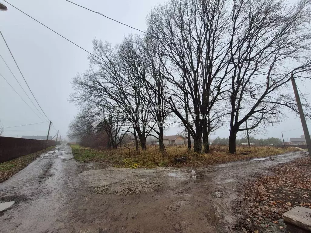 Участок в Рязанская область, Рязанский муниципальный округ, с. ... - Фото 2