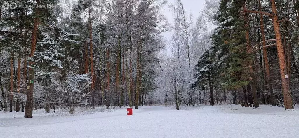 1-комнатная квартира: Котельники, Сосновая улица, 2к1 (40 м) - Фото 0