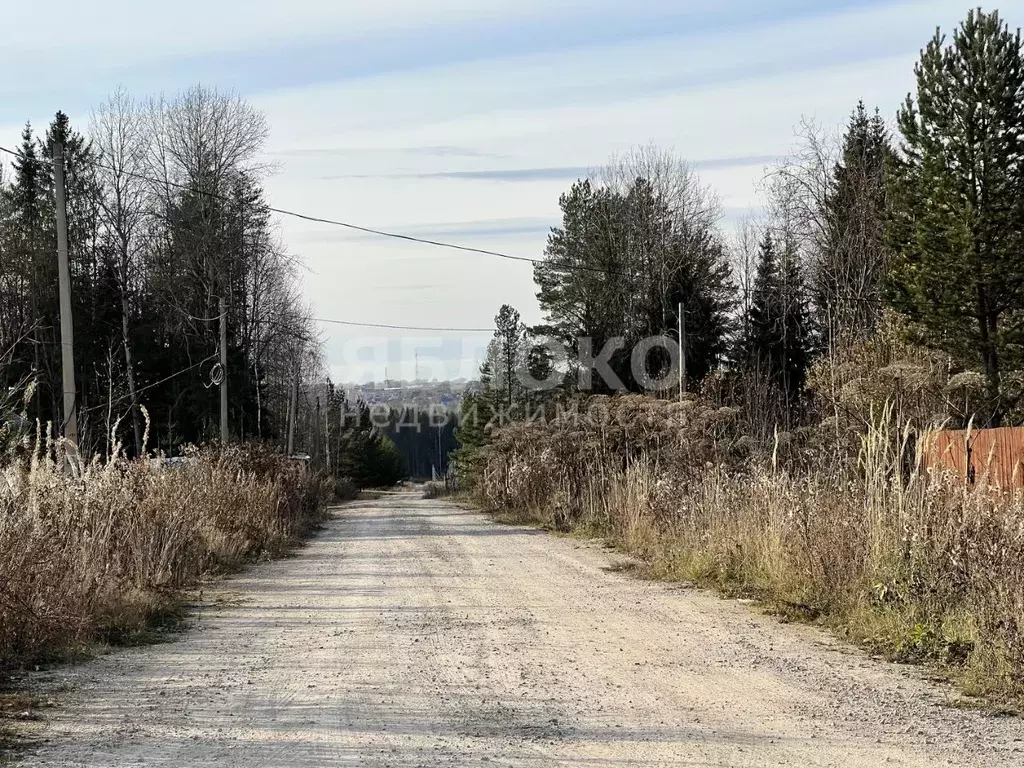 Участок в Пермский край, Березники ул. Павла Петухова (14.0 сот.) - Фото 1