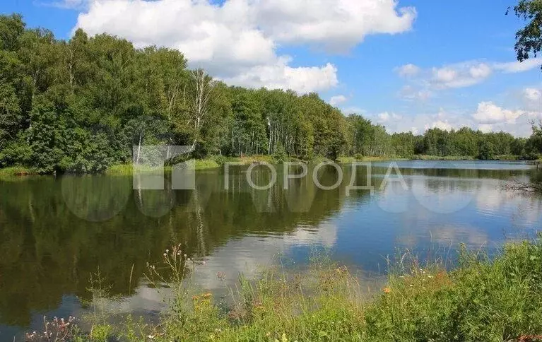 Участок 10,4 сот. (ИЖС) - Фото 1
