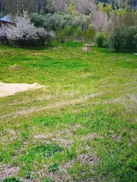 Участок в Алтай, Горно-Алтайск Бочкаревка СНТ,  (10.0 сот.) - Фото 0