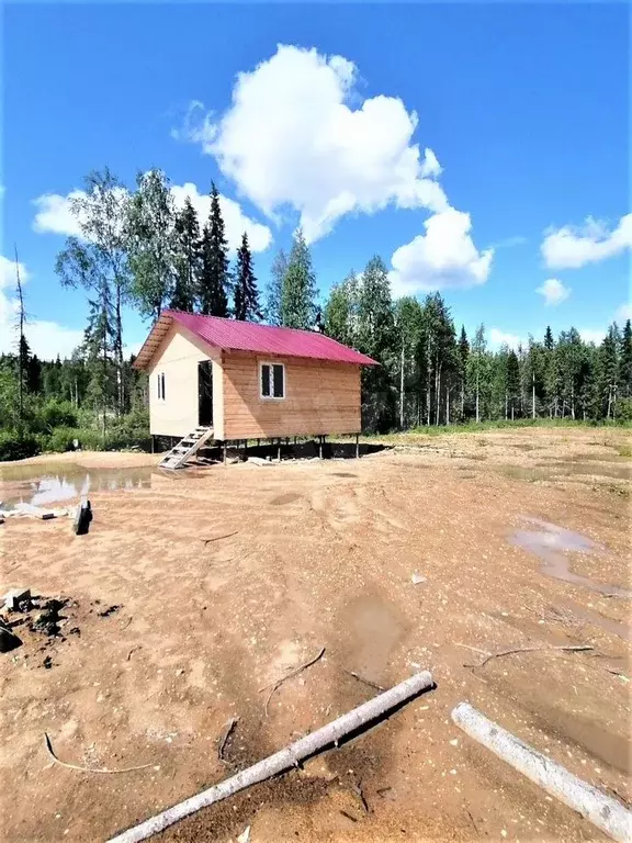 Дом 33,6 м на участке 19,8 сот. - Фото 1