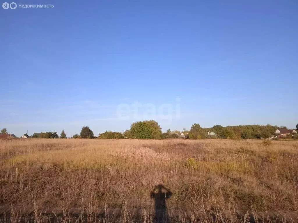 Участок в Тульская область, Венёвский муниципальный округ, деревня ... - Фото 2