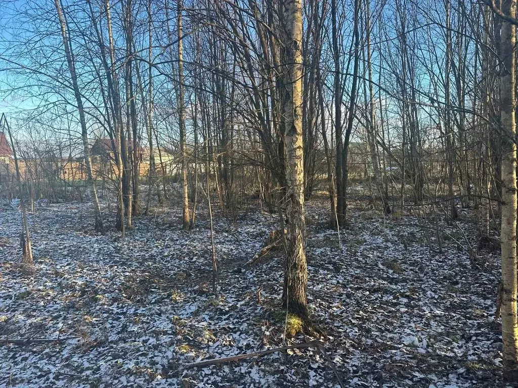 Участок в Московская область, Рузский муниципальный округ, д. Барынино ... - Фото 1