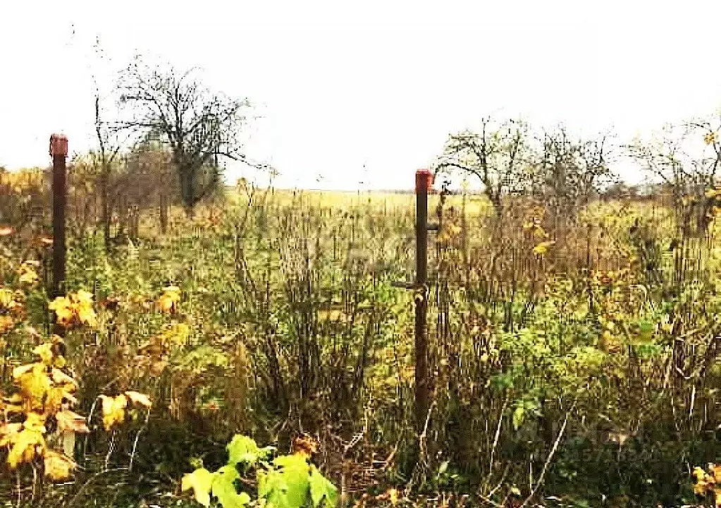 Дом в Калужская область, Бабынинский район, Муромцево с/пос, с. ... - Фото 1