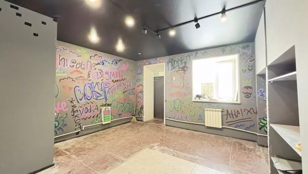 Помещение свободного назначения в Новосибирская область, Мошковский ... - Фото 2