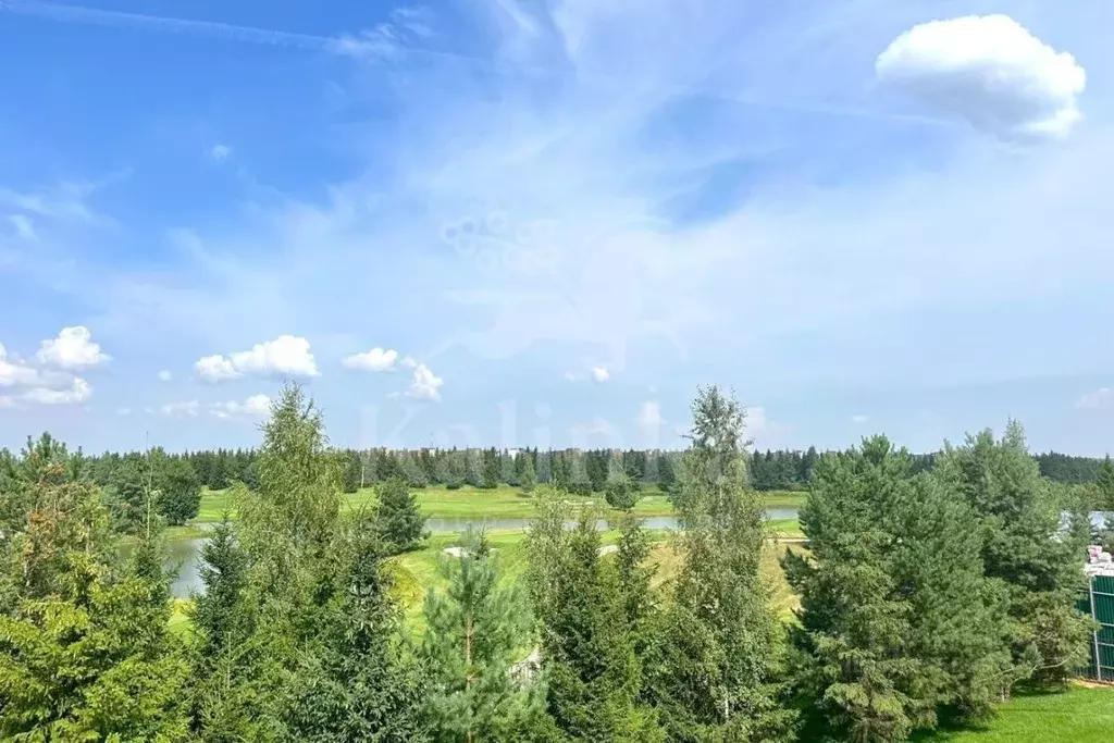 Участок в Московская область, Истра муниципальный округ, д. Захарово ... - Фото 2