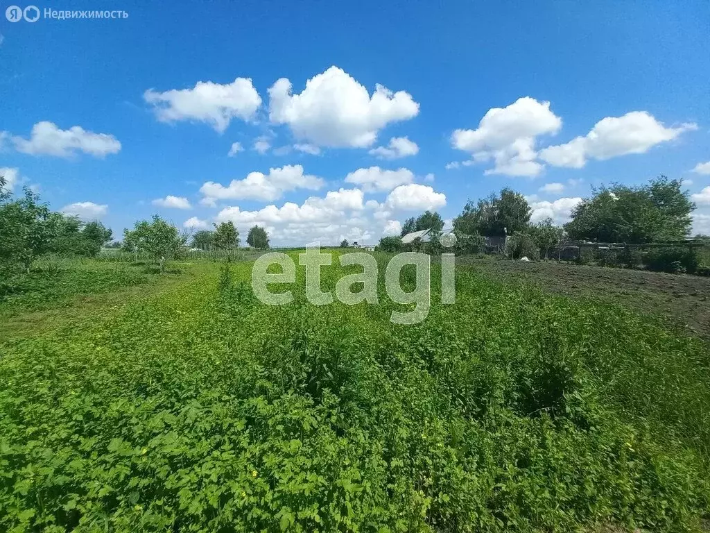 Участок в село Толмачево, Партизанская улица (8.1 м) - Фото 0