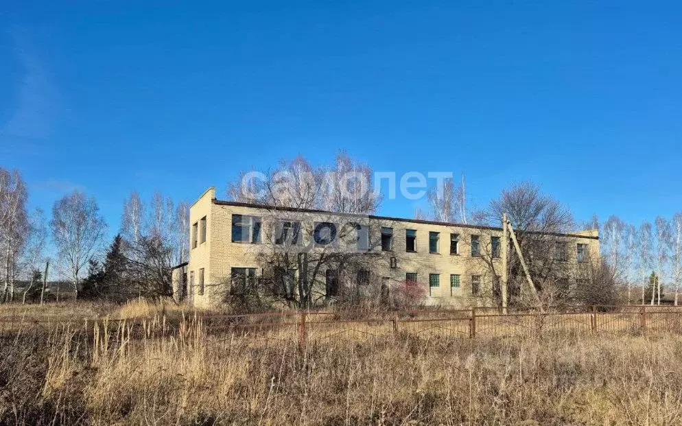 Помещение свободного назначения в Пензенская область, Шемышейский ... - Фото 1